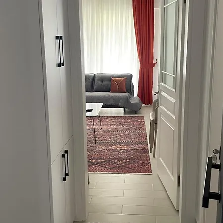 Naz House